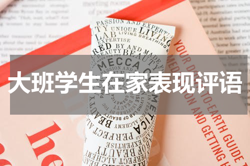大班学生在家表现评语