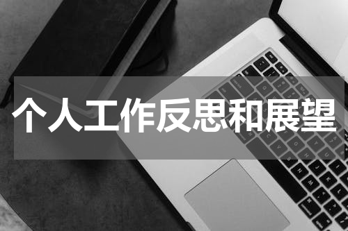 个人工作反思和展望