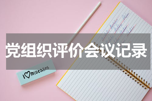 党组织评价会议记录