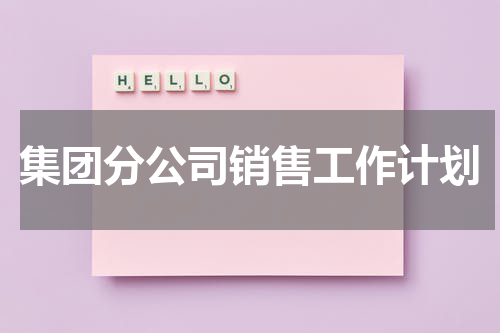 集团分公司销售工作计划