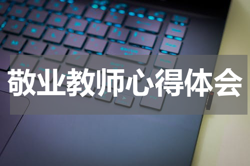 敬业教师心得体会