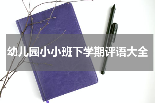幼儿园小小班下学期评语大全