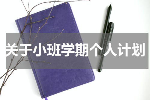 关于小班学期个人计划
