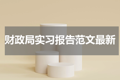 财政局实习报告范文最新