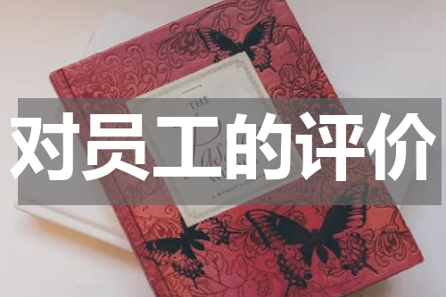 对员工的评价