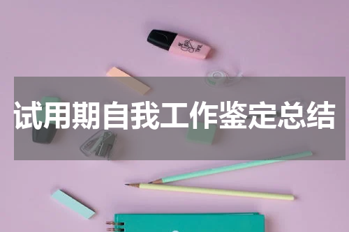 试用期自我工作鉴定总结