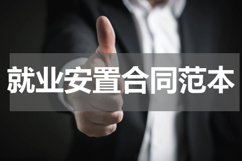 就业安置合同范本