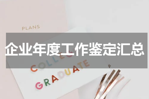 企业年度工作鉴定汇总