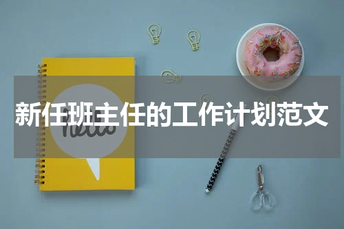 新任班主任的工作计划范文