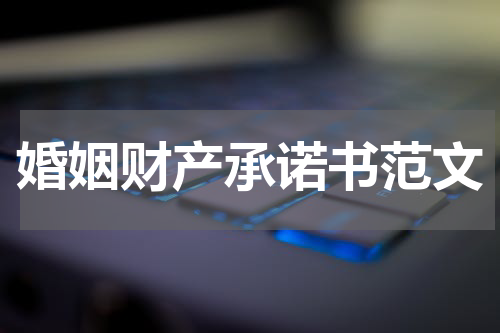 婚姻财产承诺书范文