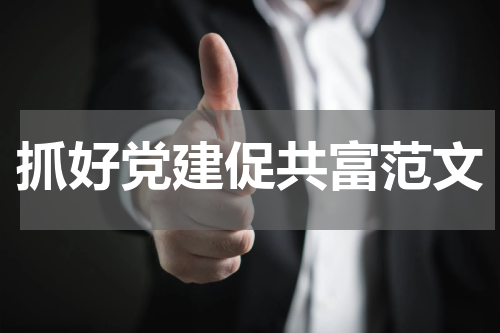 抓好党建促共富范文