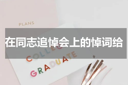 在同志追悼会上的悼词给