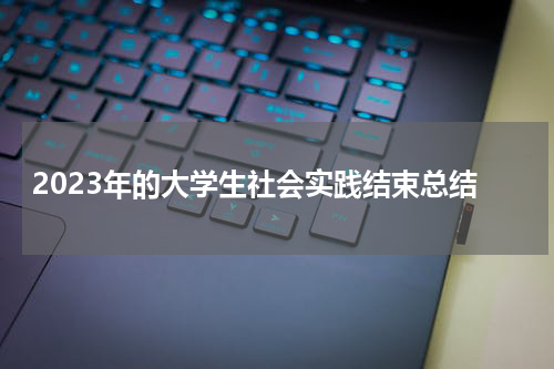 2023年的大学生社会实践结束总结