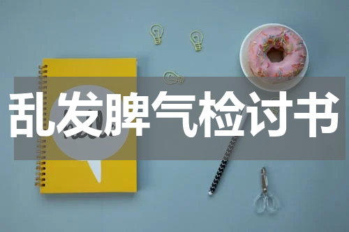 乱发脾气检讨书