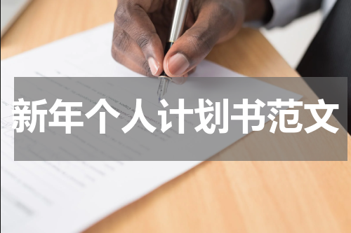 新年个人计划书范文