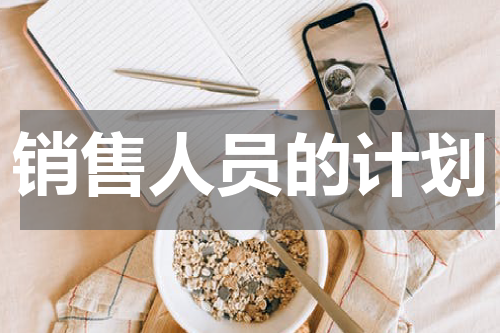 销售人员的计划