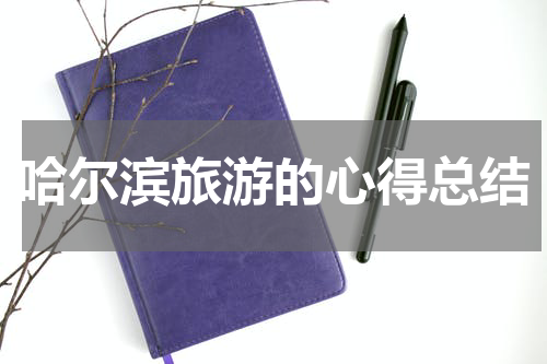 哈尔滨旅游的心得总结