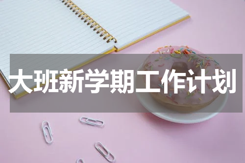 大班新学期工作计划