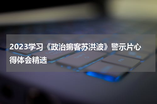2023学习《政治掮客苏洪波》警示片心得体会精选