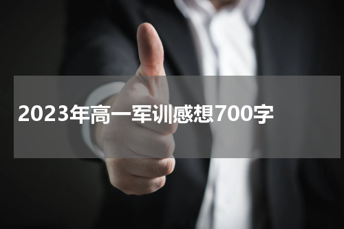2023年高一军训感想700字