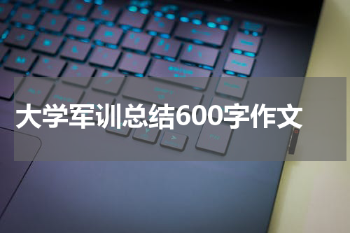 大学军训总结600字作文