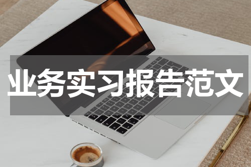 业务实习报告范文