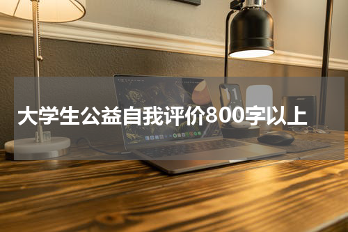 大学生公益自我评价800字以上