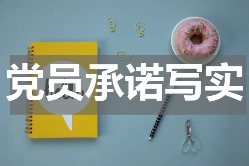 党员承诺写实