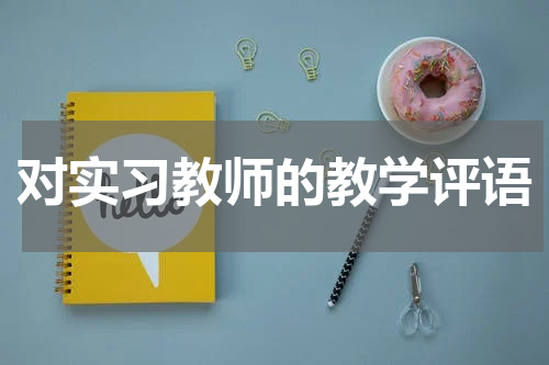 对实习教师的教学评语