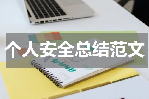 个人安全总结范文