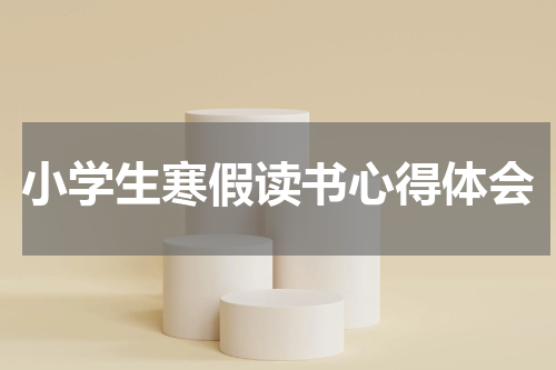 小学生寒假读书心得体会