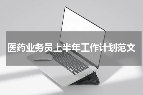 医药业务员上半年工作计划范文