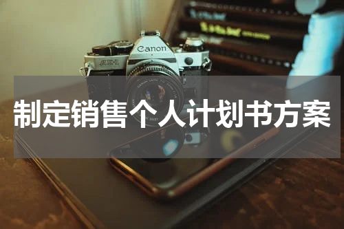 制定销售个人计划书方案