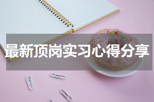 最新顶岗实习心得分享