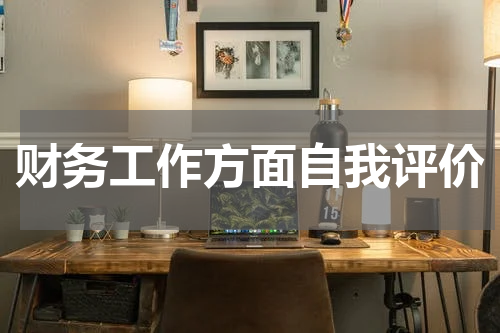 财务工作方面自我评价