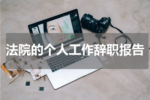 法院的个人工作辞职报告