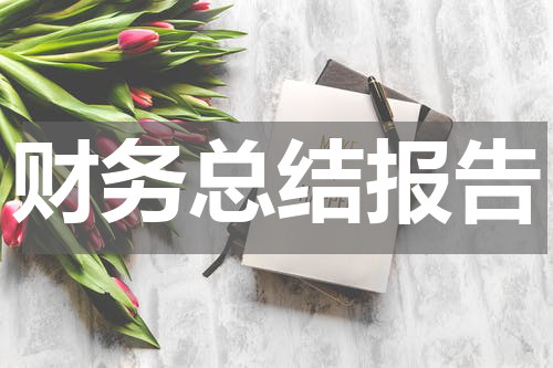 财务总结报告