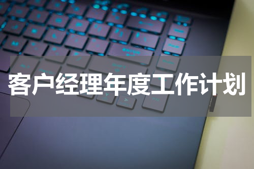 客户经理年度工作计划