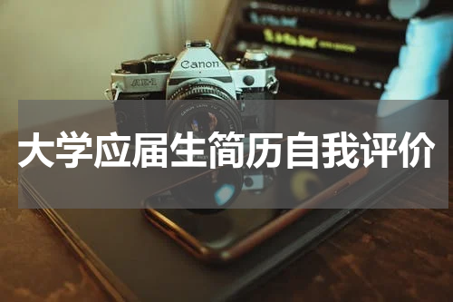 大学应届生简历自我评价