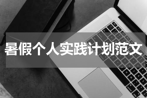 暑假个人实践计划范文