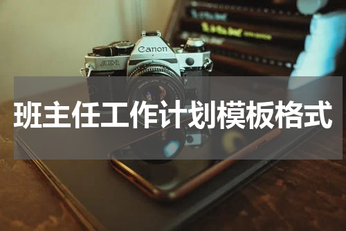班主任工作计划模板格式