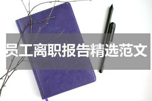 员工离职报告精选范文