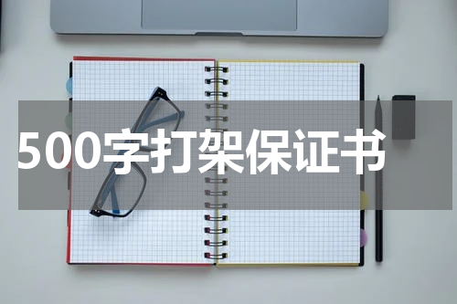 500字打架保证书
