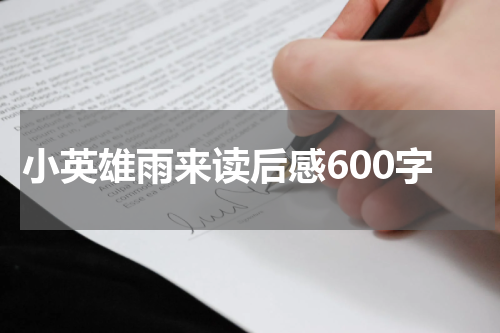小英雄雨来读后感600字