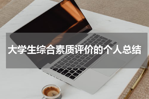 大学生综合素质评价的个人总结