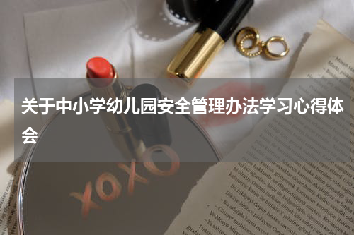 关于中小学幼儿园安全管理办法学习心得体会