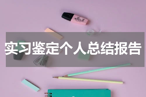 实习鉴定个人总结报告