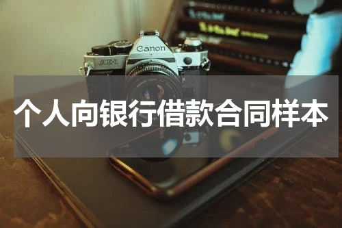 个人向银行借款合同样本