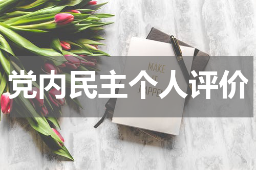 党内民主个人评价