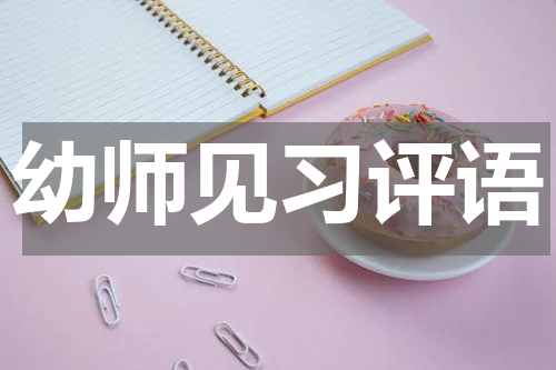 幼师见习评语